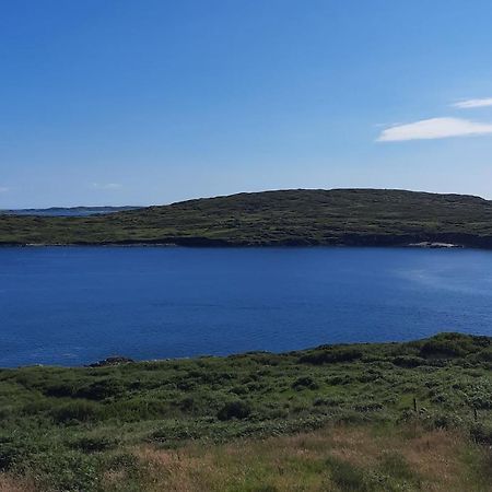 Conneelys Cottage, Connemara, Clifden, H71Y096 מראה חיצוני תמונה